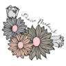 cropped logo1 1 e1592348448121 1